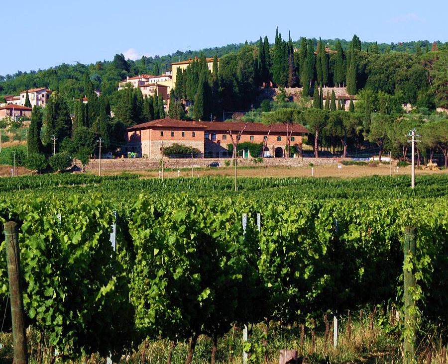 Le vigne con la tenuta sullo sfondo