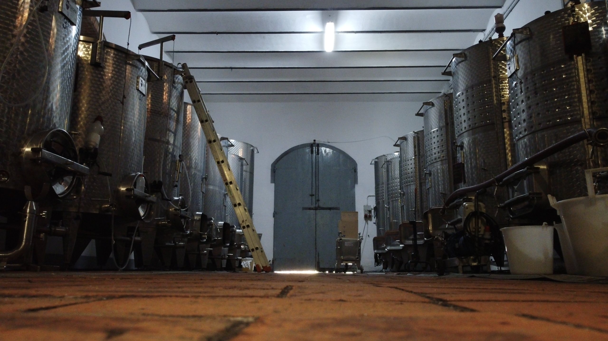 L'interno della cantina con le vasche in acciaio